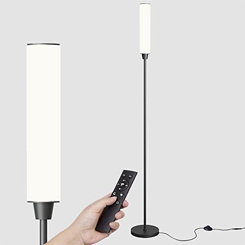 Nukanu Floor Lamp with Remote...