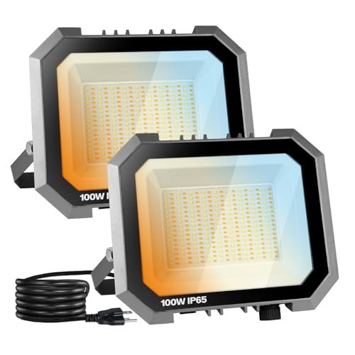 Leddictive 2 Pack LED Flood Lights...